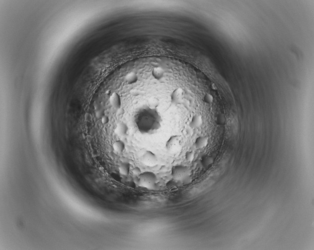 X0000115710765200911121425