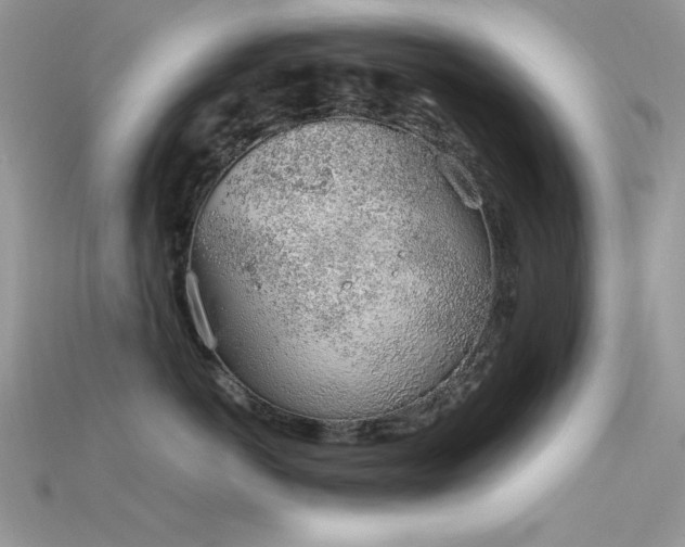 X0000115710766200911121425