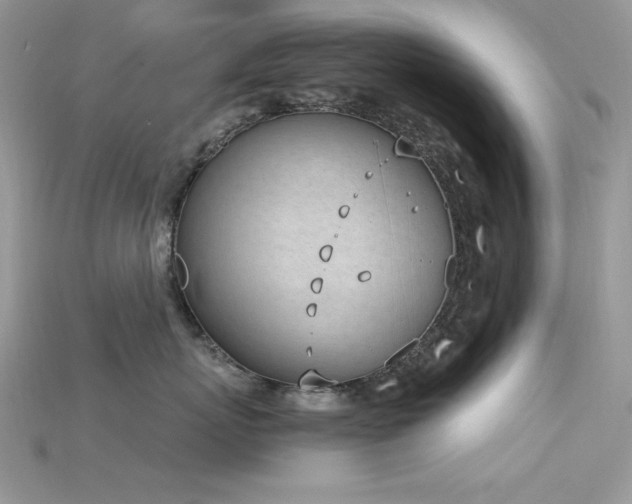 X0000115710767200911121425