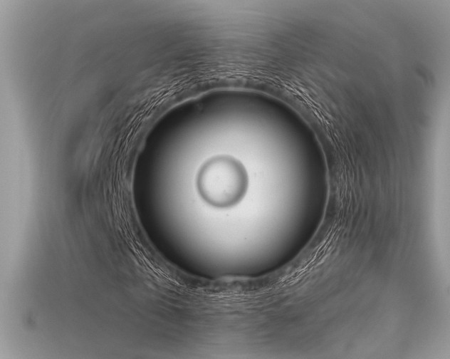 X0000115710769200911121424