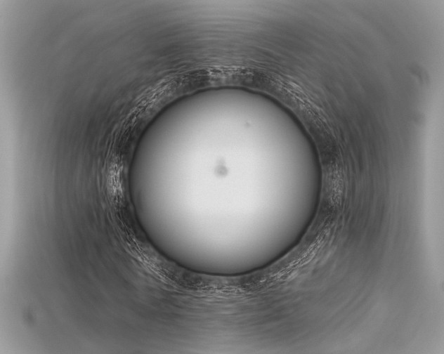 X0000115710770200911121424