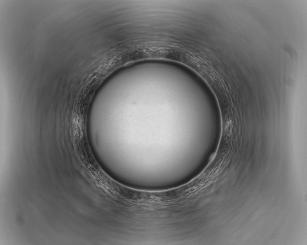 X0000115710772200911121424