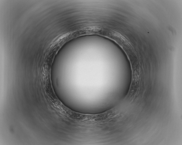 X0000115710773200911121424