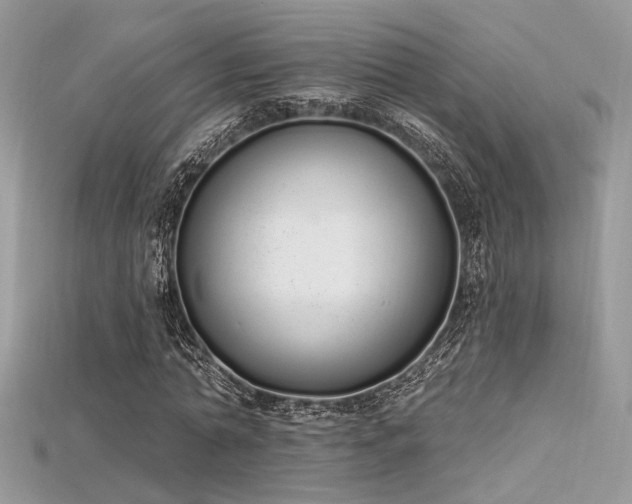 X0000115710774200911121424