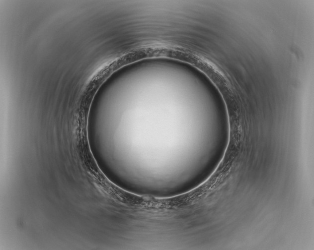 X0000115710775200911121424