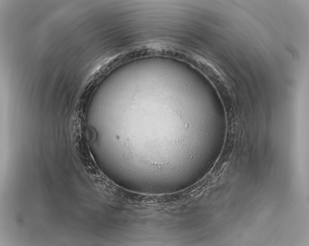 X0000115710776200911121424