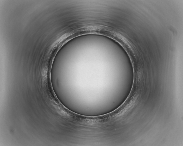 X0000115710778200911121424