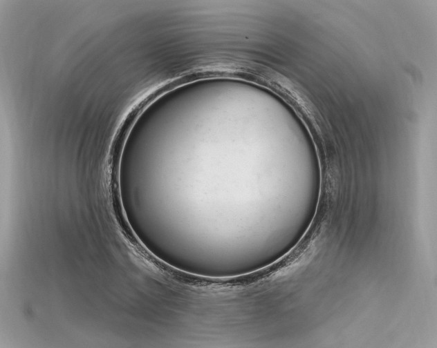 X0000115710779200911121424