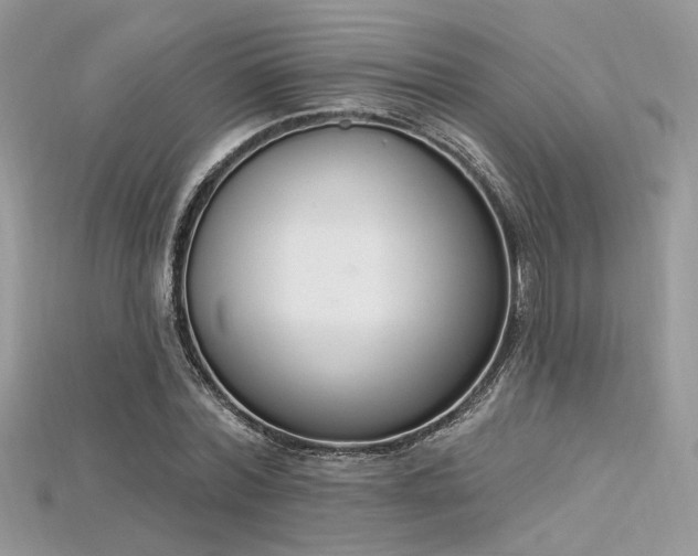 X0000115710780200911121424