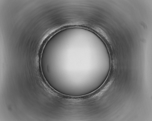 X0000115710781200911121424