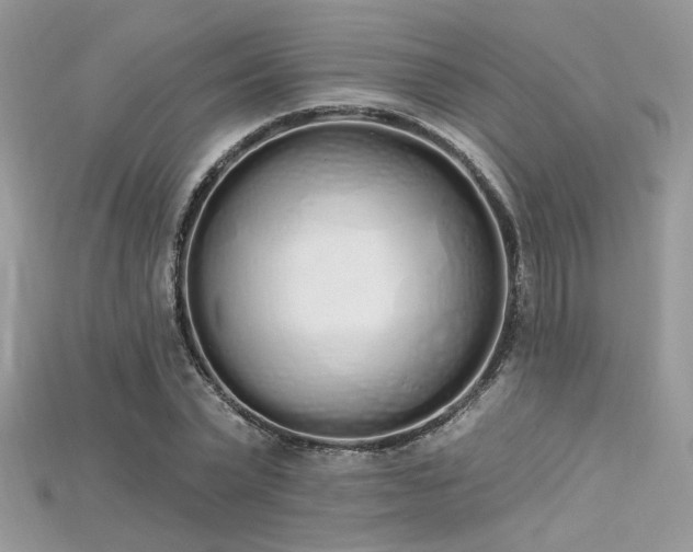 X0000115710783200911121424