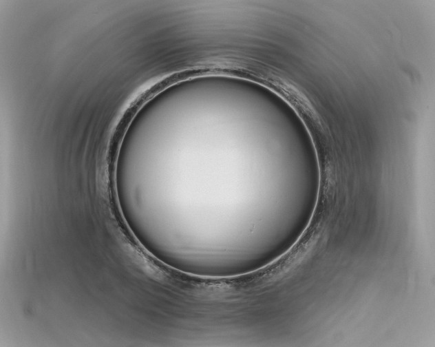 X0000115710784200911121424