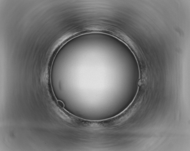 X0000115710787200911121424