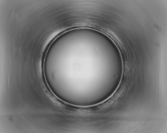 X0000115710788200911121424