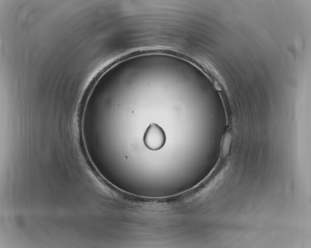 X0000115710789200911121424