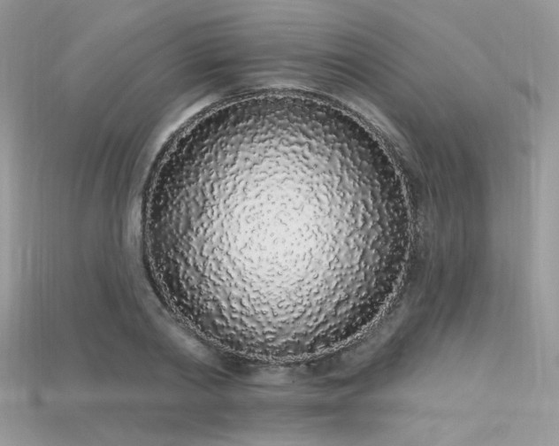 X0000115710790200911121424