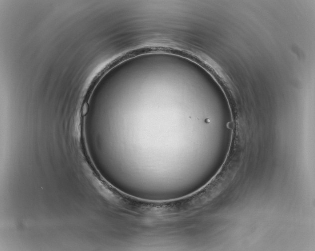 X0000115710791200911121424