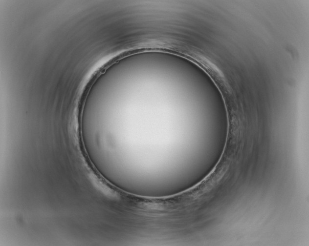 X0000115710792200911121424