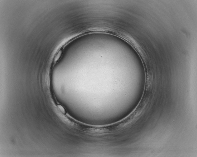 X0000115710795200911121424