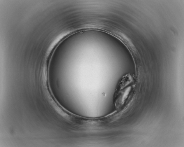 X0000115710796200911121424