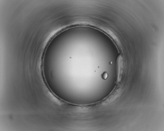 X0000115710799200911121424