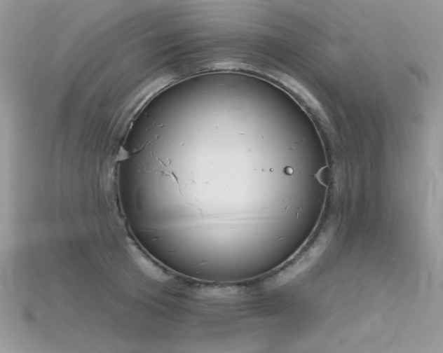 X0000115710801200911121424