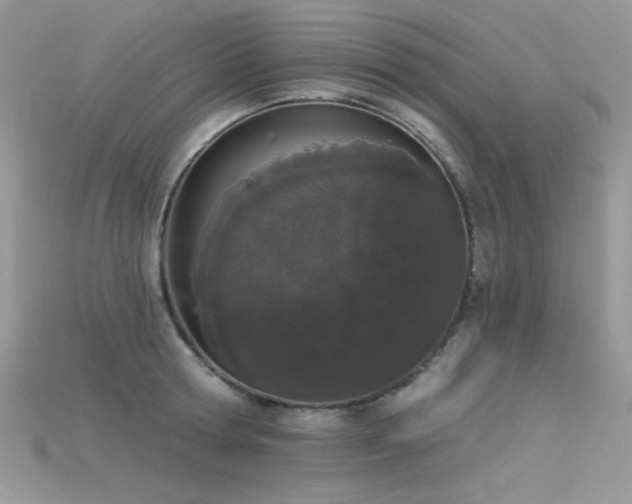 X0000115710802200911121424