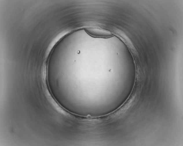 X0000115710804200911121424