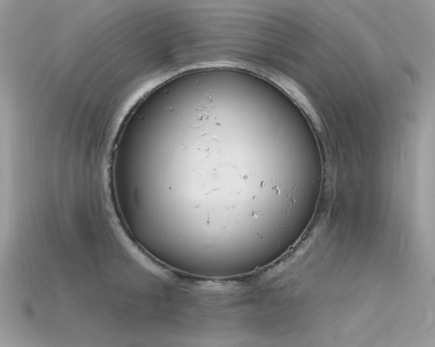 X0000115710805200911121424