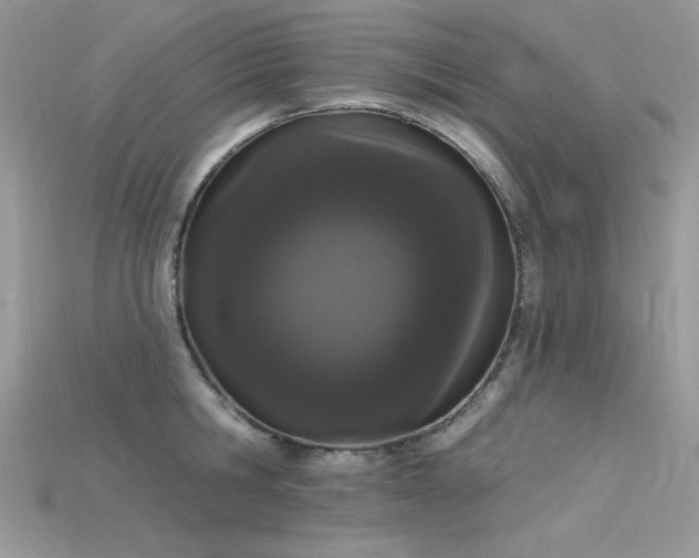 X0000115710806200911121424