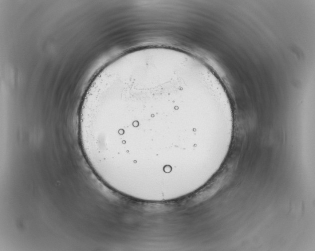 X0000115710807200911121424