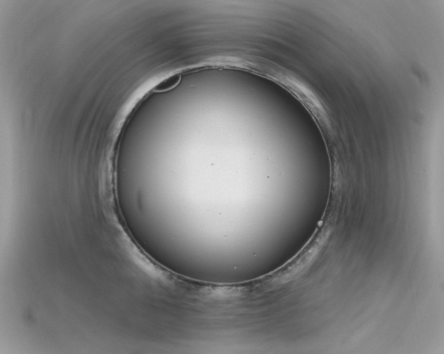 X0000115710808200911121424