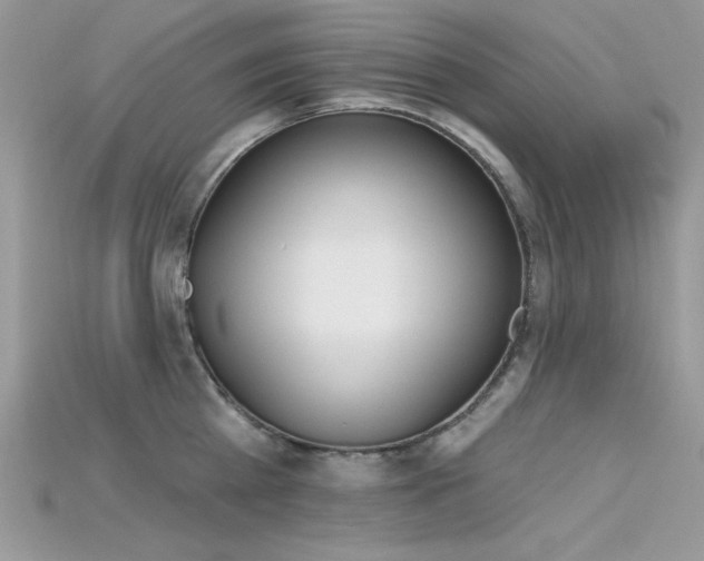 X0000115710809200911121424