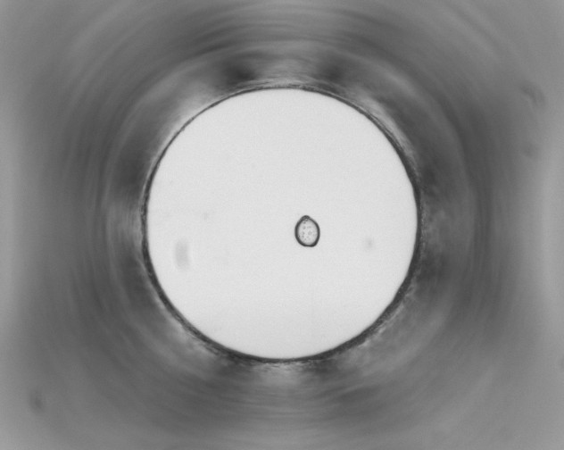 X0000115710810200911121424