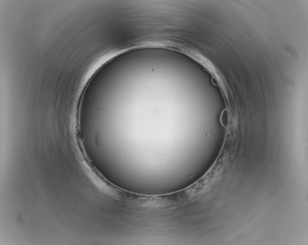 X0000115710811200911121424