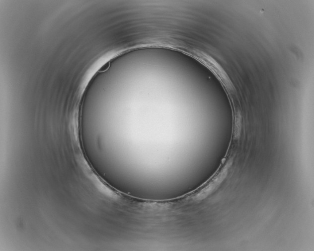 X0000115710812200911121424