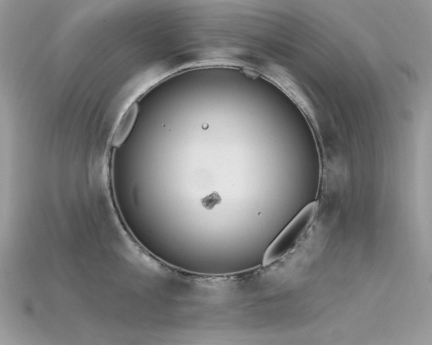 X0000115710813200911121424