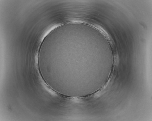 X0000115710814200911121424