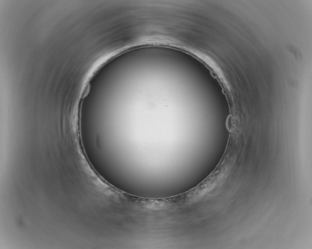 X0000115710815200911121424