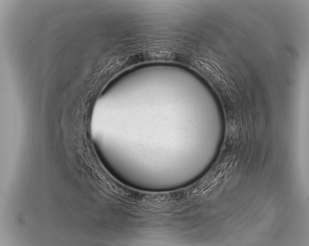 X0000115710817200911121423