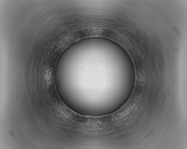 X0000115710818200911121423