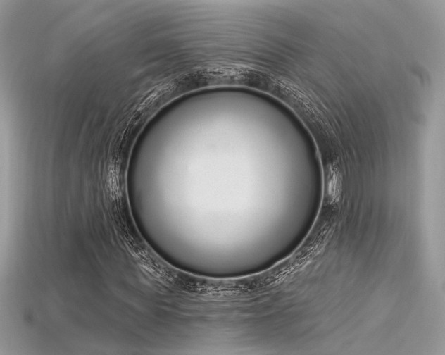 X0000115710819200911121423