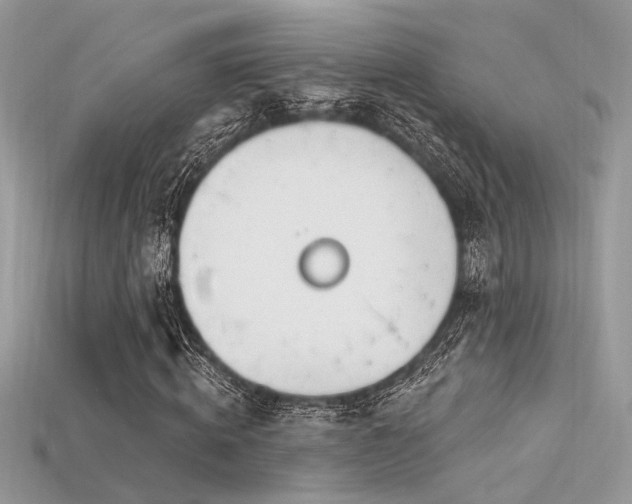 X0000115710820200911121423