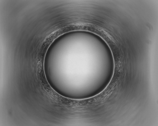 X0000115710821200911121423