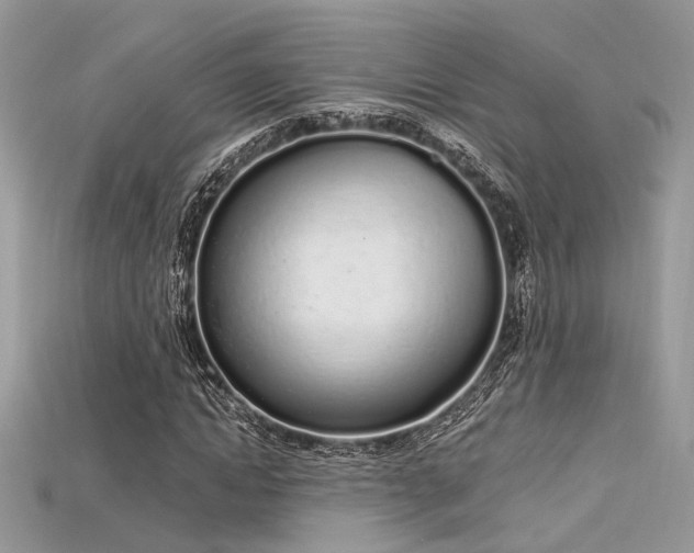 X0000115710822200911121423