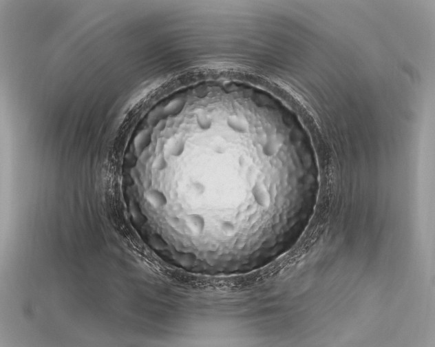 X0000115710823200911121423