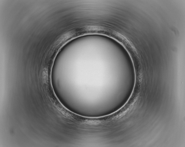 X0000115710825200911121423