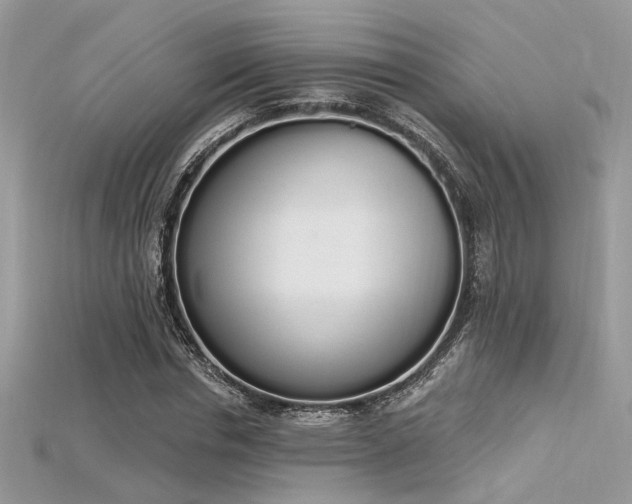 X0000115710826200911121423