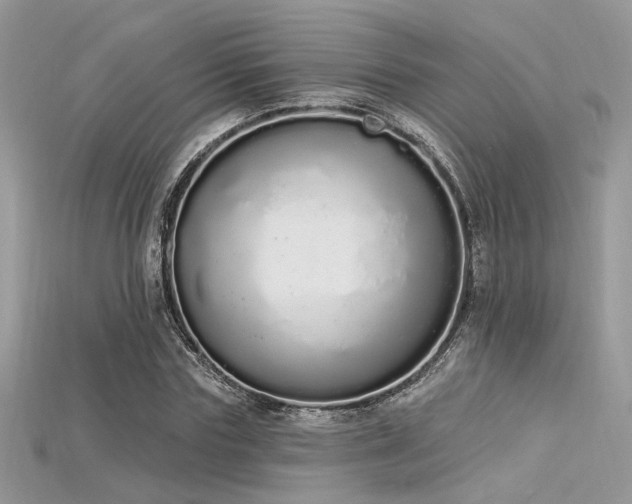 X0000115710827200911121423