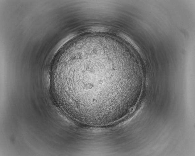 X0000115710829200911121423